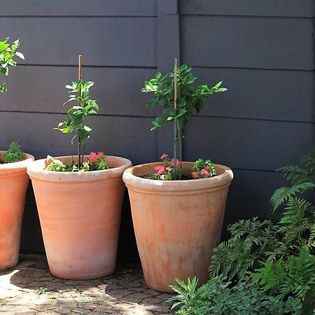 Olive Tree Private Rooms In Stellenbosch- No Load Shedding מראה חיצוני תמונה